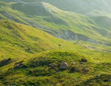 JEROME PINON Sophrologue Avrille Img Qualification 1